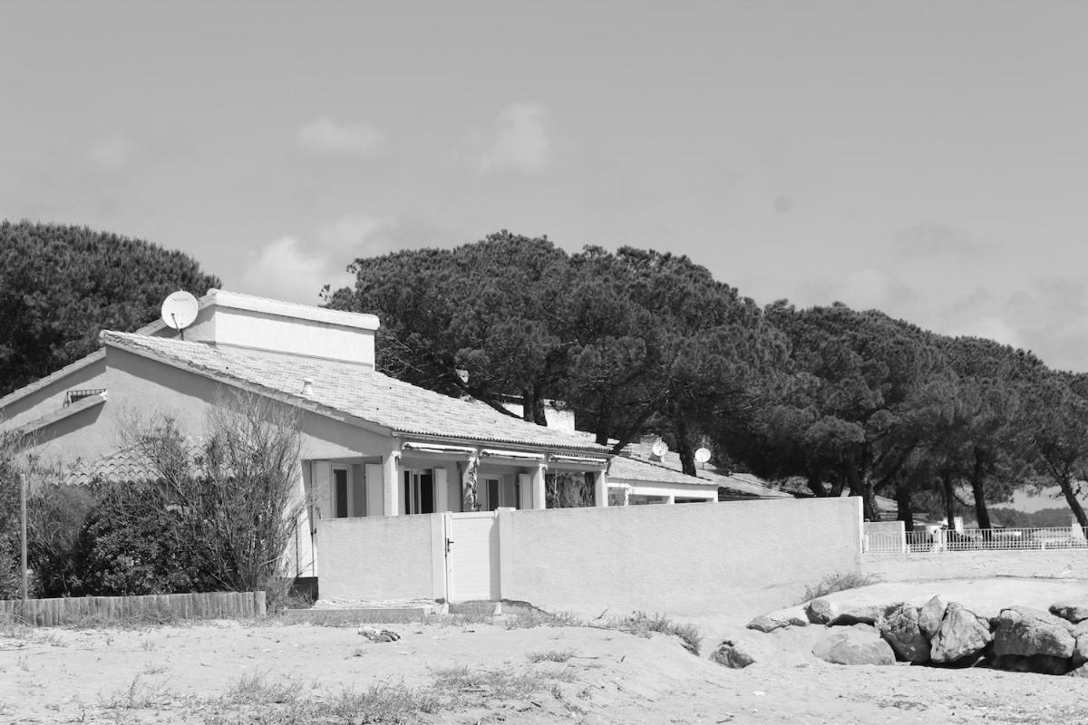 Vila Bord de mer, pieds dans l'eau, vue panoramique San-Nicolao Exteriér fotografie