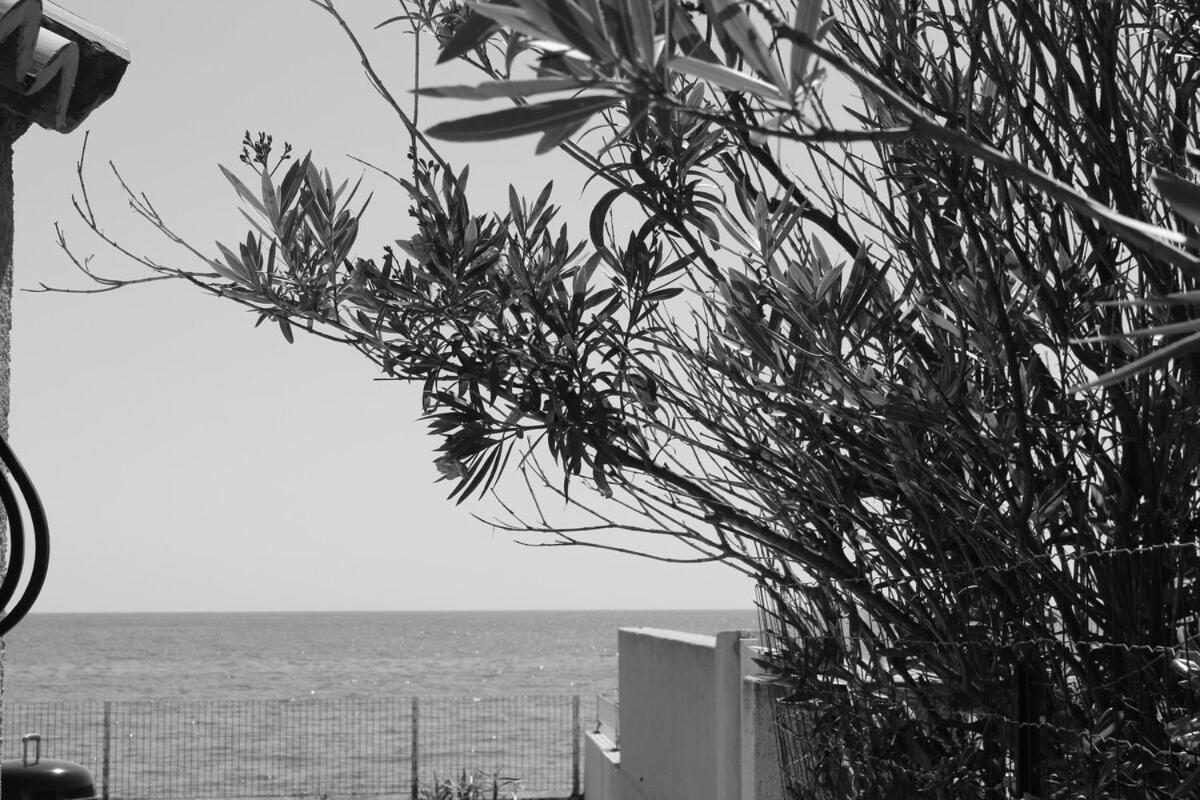 Vila Bord de mer, pieds dans l'eau, vue panoramique San-Nicolao Exteriér fotografie