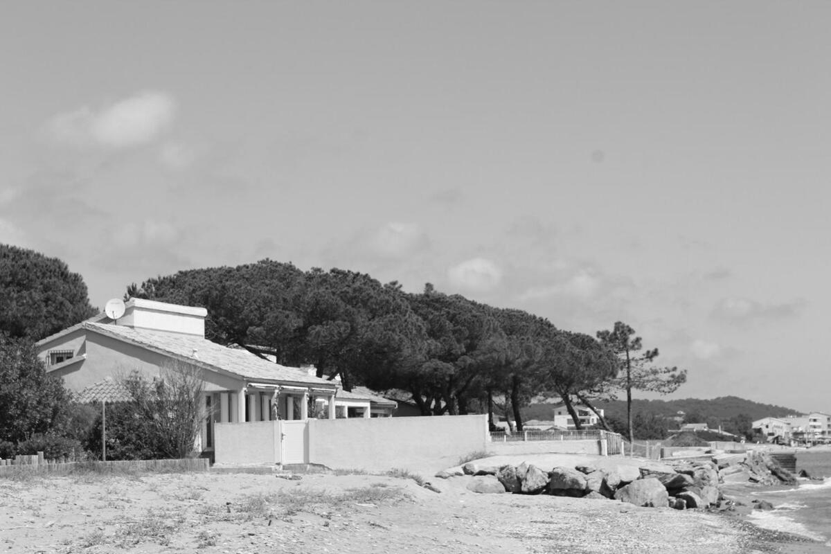 Vila Bord de mer, pieds dans l'eau, vue panoramique San-Nicolao Exteriér fotografie