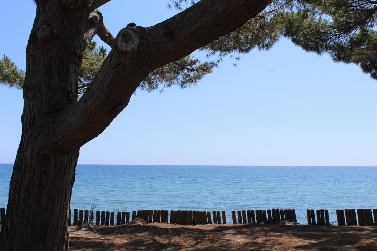 Vila Bord de mer, pieds dans l'eau, vue panoramique San-Nicolao Exteriér fotografie